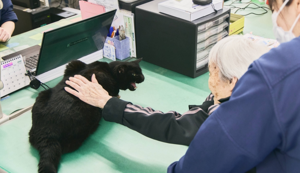 “その人らしさ”に寄り添い、季節の移ろいと小さなふれあいに癒される毎日を