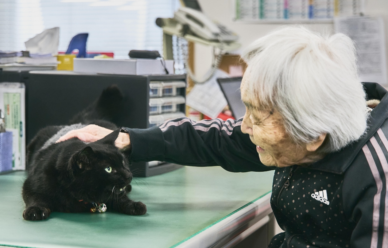 施設の猫とふれあえる癒し空間